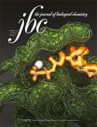 JBC Cover