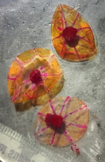 misc jellies2