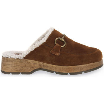 Zapatos Mujer Zuecos (Mules) Rohde NATURE LICATA PELO MOCCA Marrón