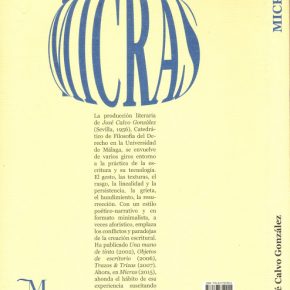 La escritura del pensamiento - MICRAS de José Calvo González, por Damaso Javier Vicente Blanco