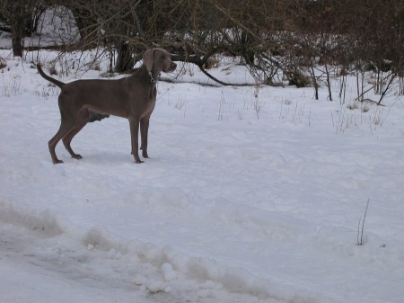 Le encanta la nieve!