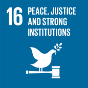 SDG 16