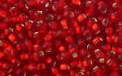 Seed Beads - 08825