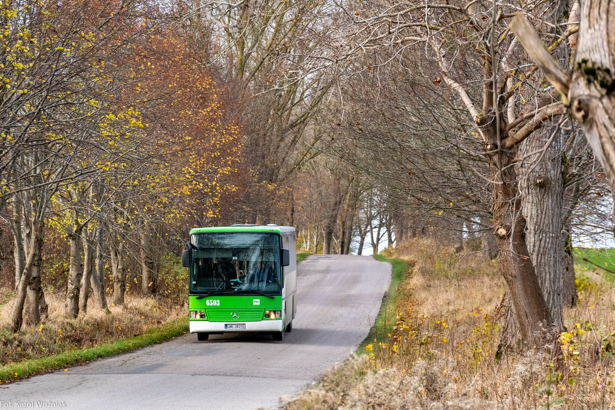 Mercedes-Benz O550 #6503