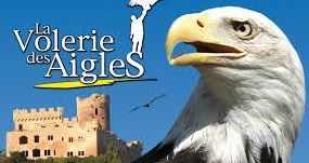 JEU. Gagnez vos entrées pour la Volerie des Aigles à Kintzheim