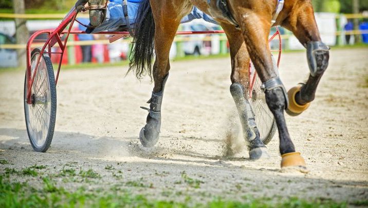 Les pronostics hippiques de Gérard Mot le grand prix de la ville de Laval du dimanche 1er novembre