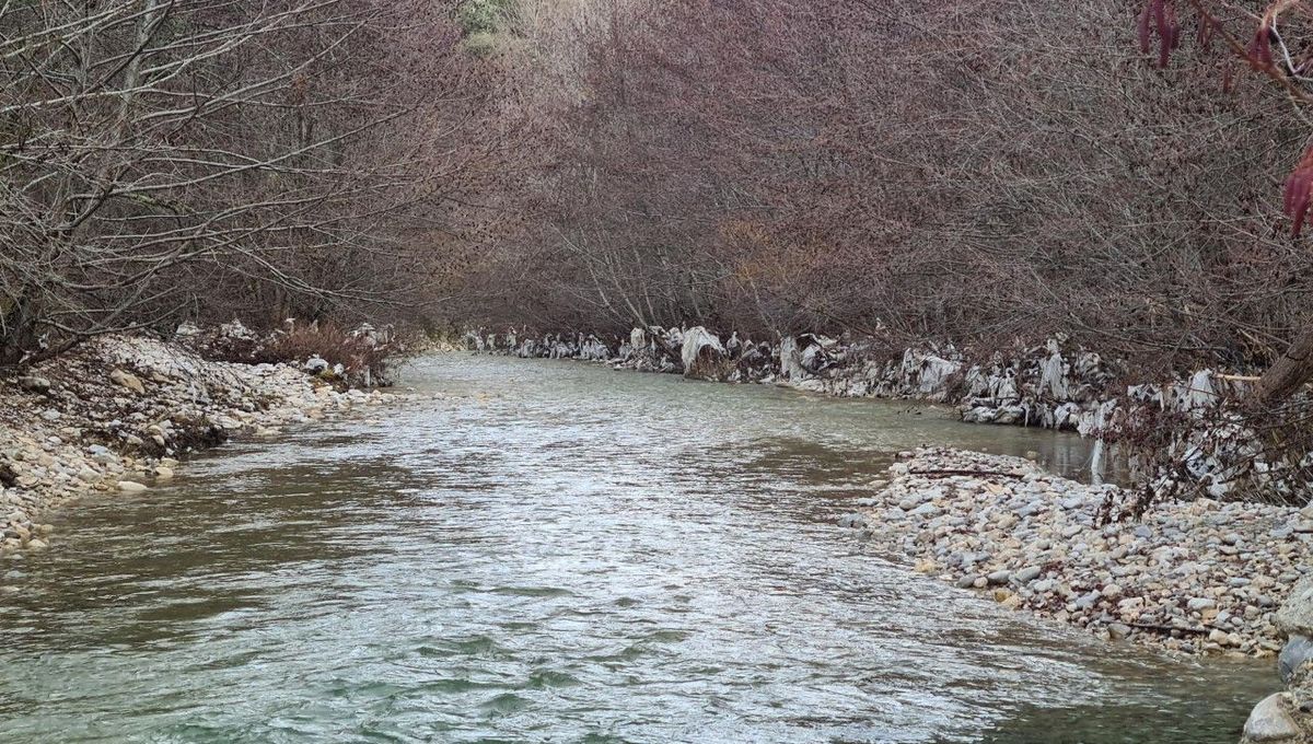 Des bouts de plastique longent la berge sur environ trois kilomètres de rivière.