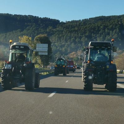 Jeudi dernier 25 janvier, les agriculteurs du Var s'étaient déjà mobilisés, en direction de Toulon