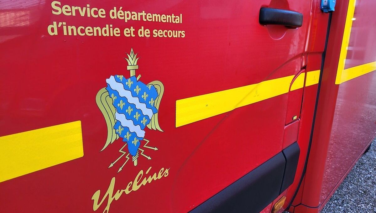 Les pompiers des Yvelines réalisent plusieurs opérations de sauvetage de chevaux dans des piscines chaque année. (Illustration)