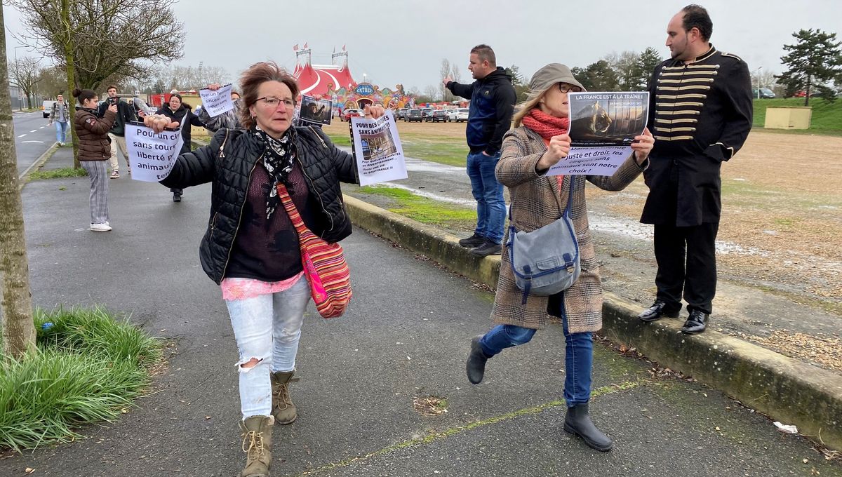 Les manifestants interpellent les voitures qui entrent sur le parking pour la représentation du cirque Zavatta-Douchet.