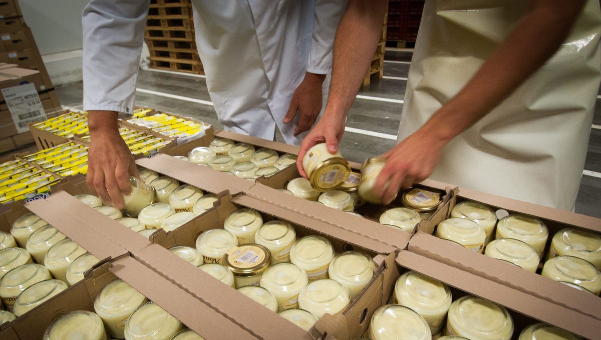 Les fabricants de cancoillotte sont sous le choc après l'annonce du retrait de l'AOP à la Franche-Comté