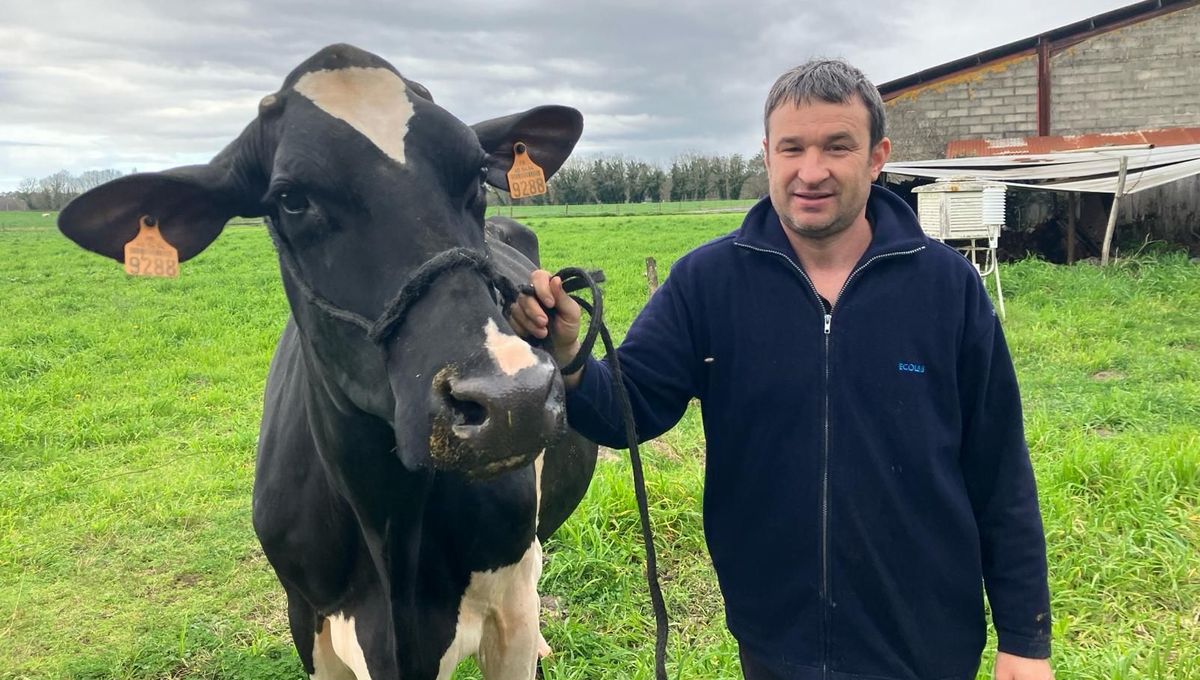 Depuis le milieu de semaine, Jaka a retrouvé son pré et son box dans les Landes, sous le regard attentionné et fier de son éleveur, Fabrice Ducasse.