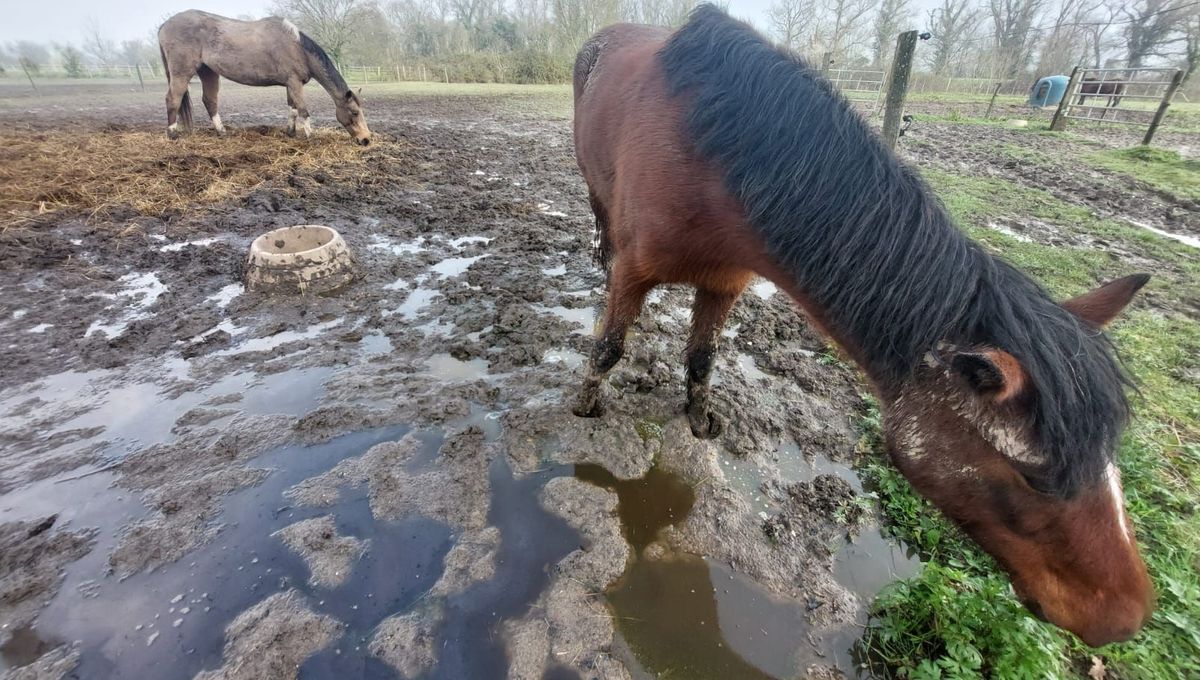 Les terres sont gorgées d'eau depuis déjà plusieurs mois