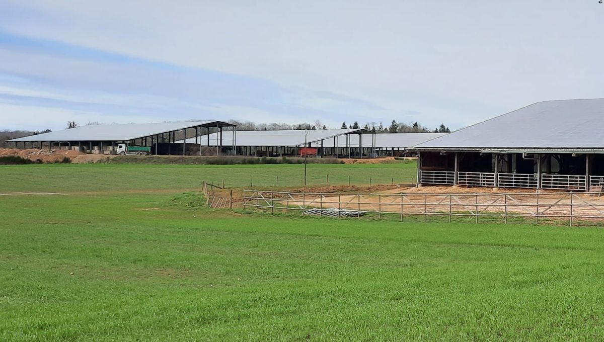 L'atelier d'engraissage de 3.100 bovins doit s'installer dans 10 imposants bâtiments, notamment sur le site de Chavaignac, à Peyrilhac.