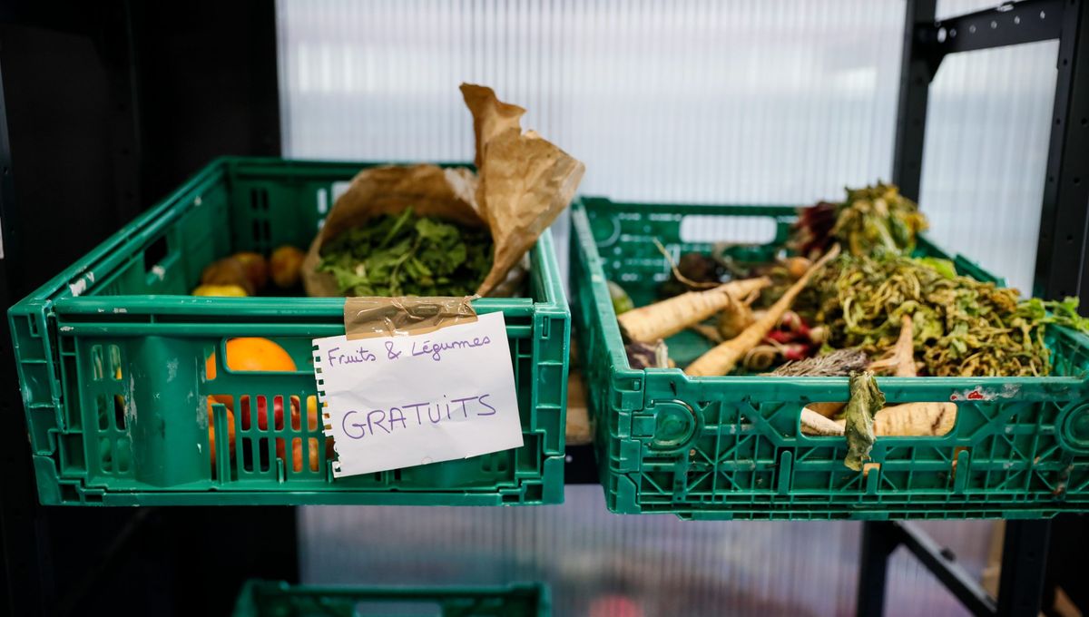 Des aliments sains et à très bon marché peuvent être proposés dans les épiceries solidaires étudiantes