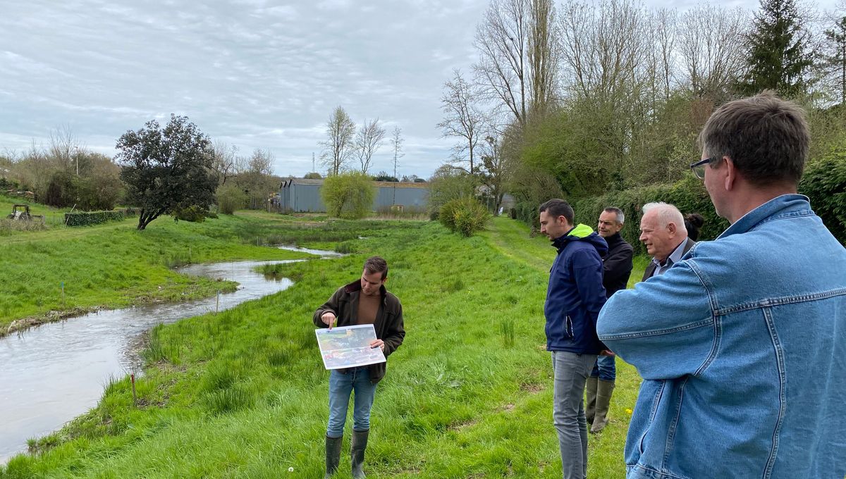 L'effacement du plan d'eau a permis de recréer les méandres de la rivière.