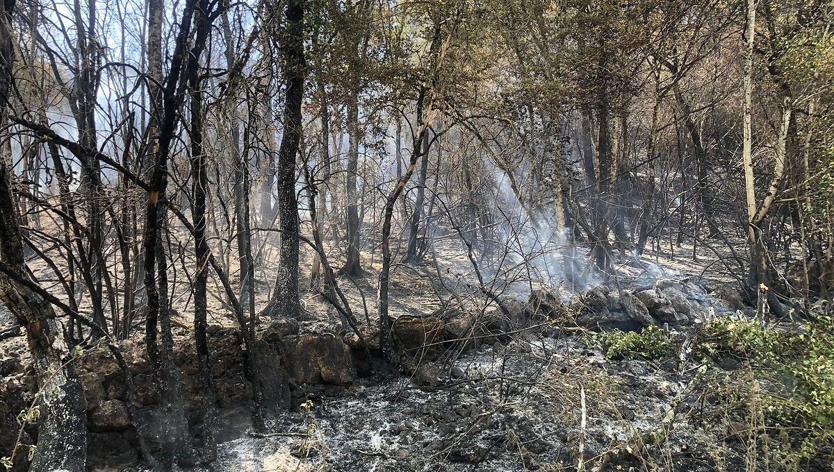 En 2022, le Jura avait connu de terribles incendies.