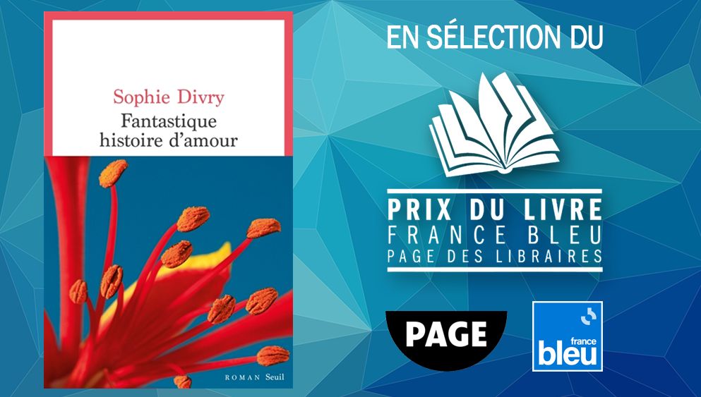 Fantastique Histoire d'Amour de Sophie Divry