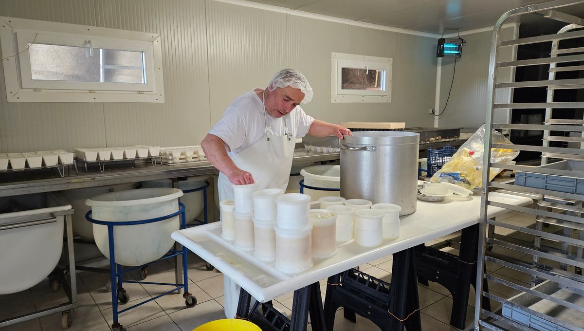 Emmanuel Rérolle à l'oeuvre dans sa fromagerie