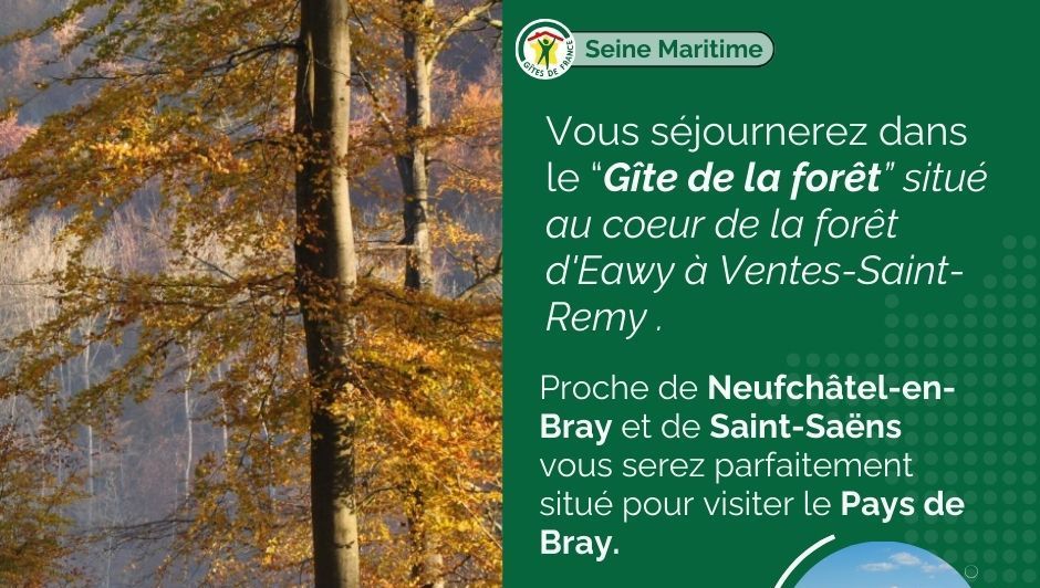 Le Gîte de la forêt d'Eawy à Ventes-Saint-Remy