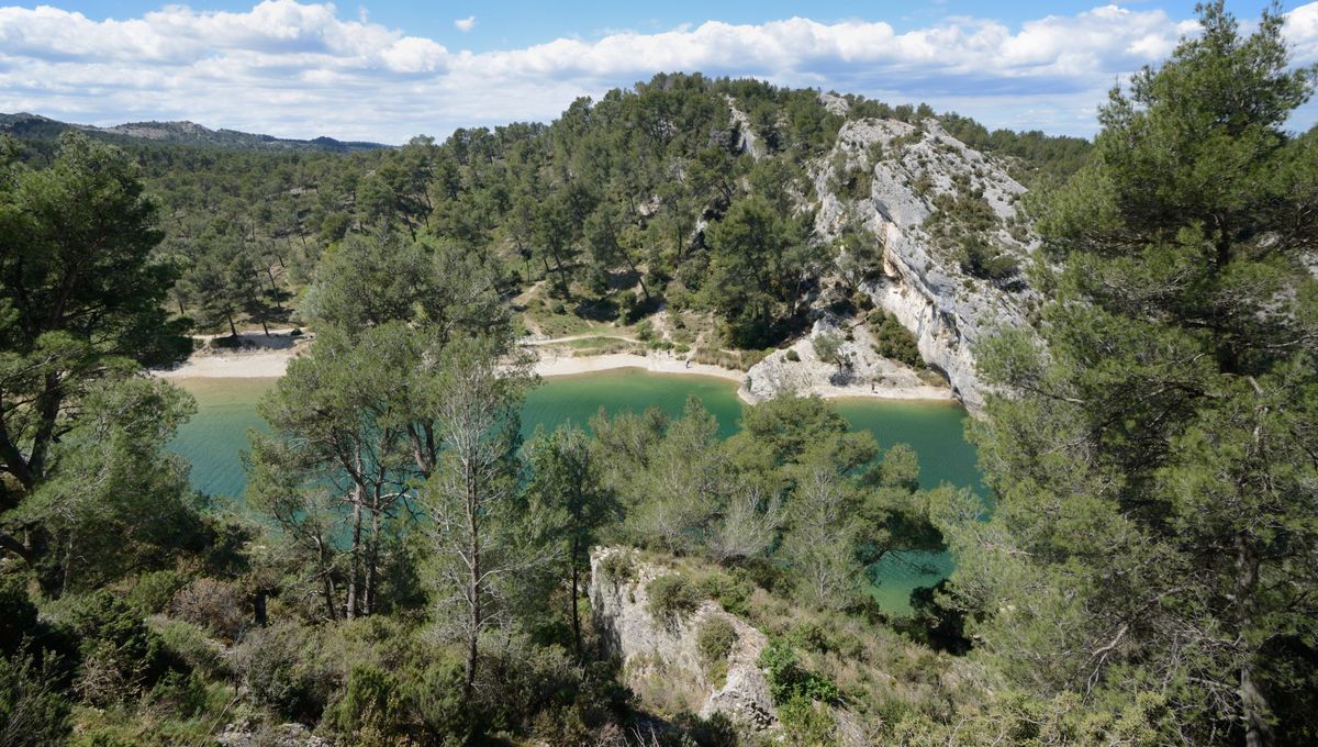 Nathalie Helal nous emmène dans les Alpilles pour une émission dédiée aux saveurs de Saint-Rémy-de-Provence