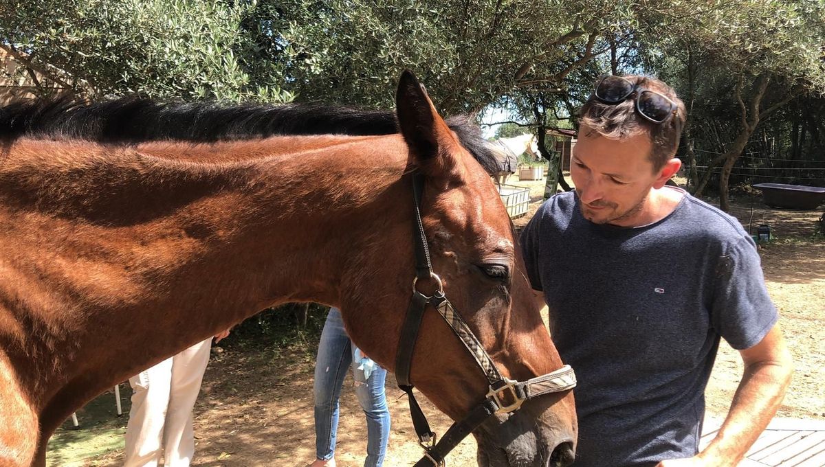 27 chevaux sont accueillis au refuge de Saint Brès dont Julien Ruch est le co-gérant