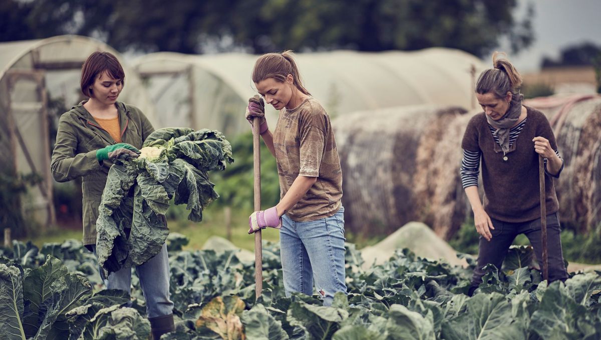 Agricultrices, FEVE vous aide à financer vos projets !