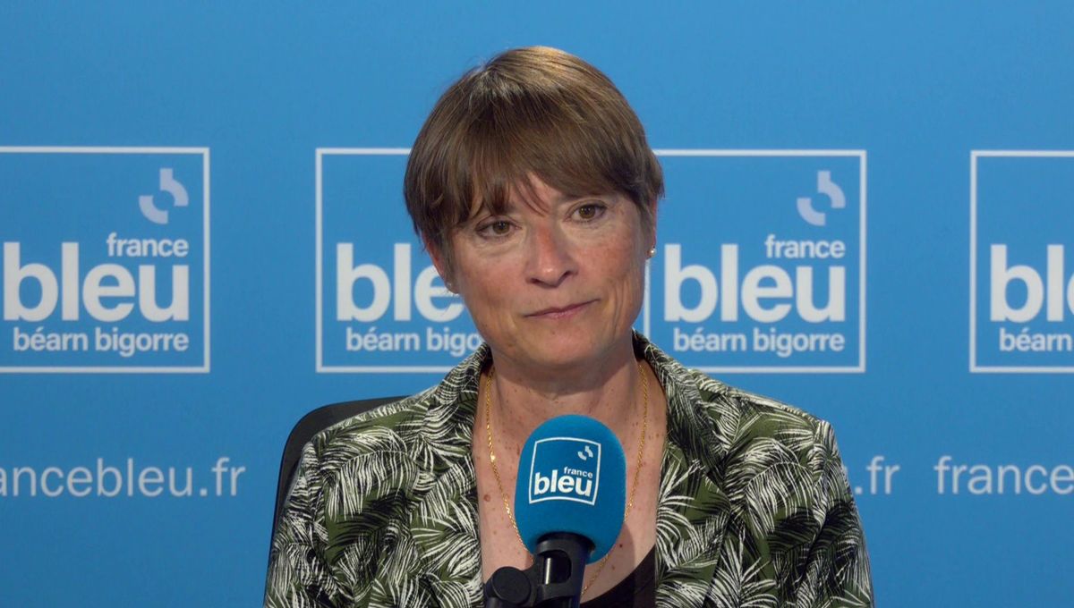 La députée de la 1ère circonscription des Hautes-Pyrénées Sylvie Ferrer, Nouveau Front Populaire, LFI. - archives