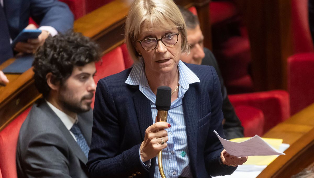 La députée sortante, Véronique Louwagie, est réélue avec 54,43 % des suffrages exprimés.