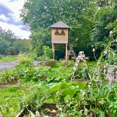 Le pigeonnier contraceptif installé au Jardin de Chlorophylle peut accueillir jusqu'à 500 pigeons.