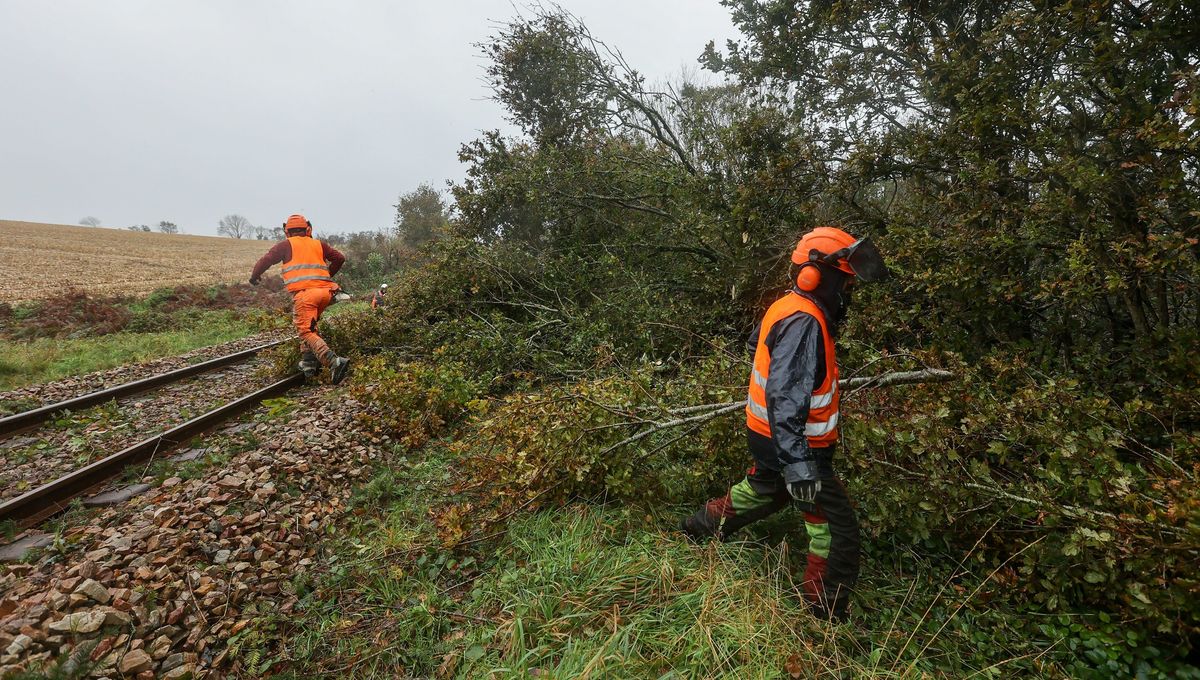 Des agents découpent un arbre tombé sur une voie ferroviaire (image d'illustration)