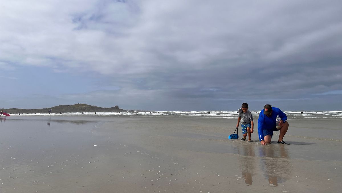 Pendant les grandes marées, des dizaines de pêcheurs sont partis sur la plage de la Torche, à la recherche de tellines.