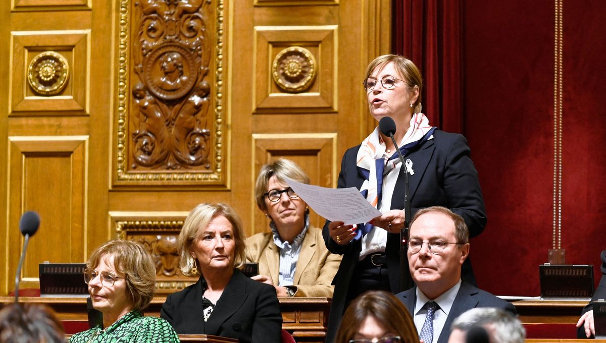 Dominique Vérien, sénatrice de l'Yonne (Union centriste), réclame un "changement de mentalité" pour "réussir à gouverner ensemble".