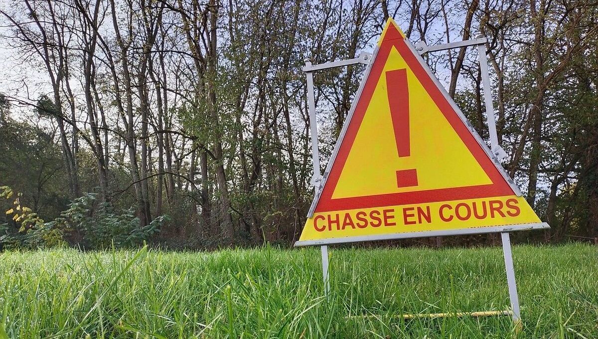 Après l'accident de chasse mortel lundi 26 août à Stonne dans les Ardennes, le tireur a été mis en examen pour homicide involontaire