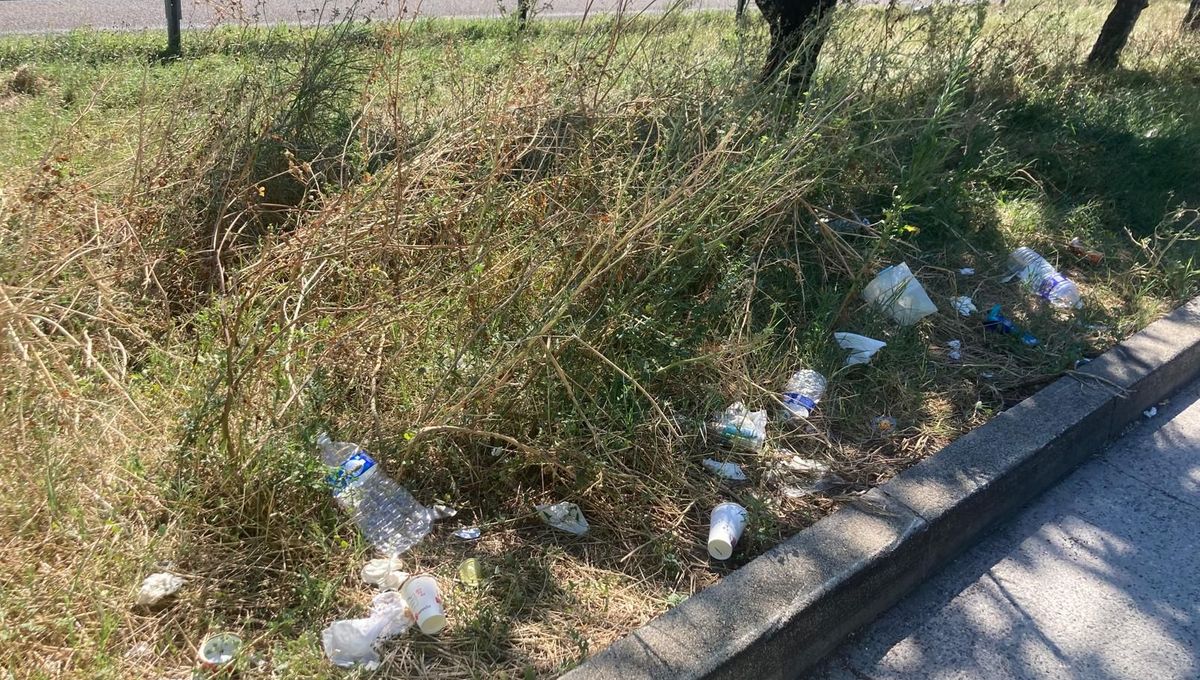 Des déchets sur les bords de l'A7, à quelques mètres à peine d'une poubelle