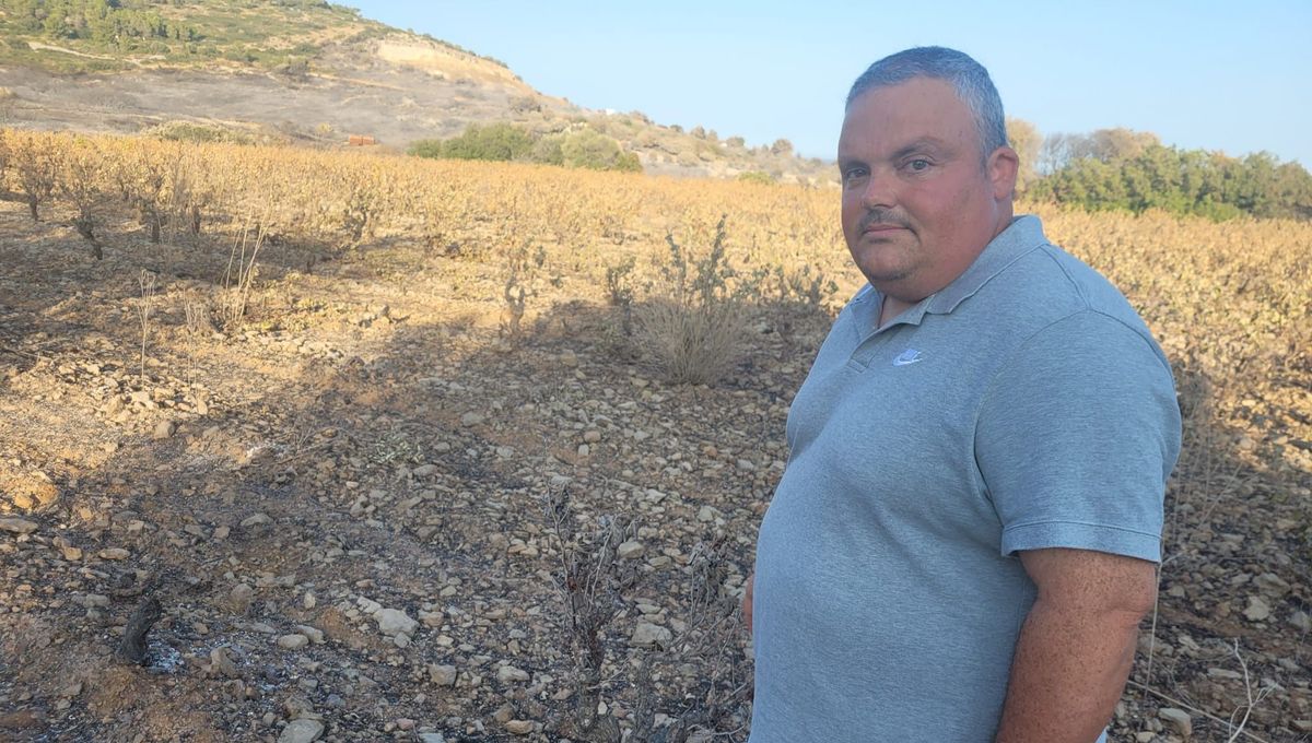 Manuel Matos, viticulteur, ne pourra pas vendanger ce lundi sur sa parcelle brûlée