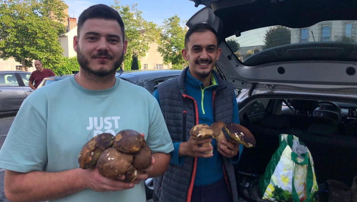 Anthony et Yamine qui vivent à Bordères et Aureilhan ont trouvé des dizaines de kilos de cèpes dans les Hautes-Pyrénées