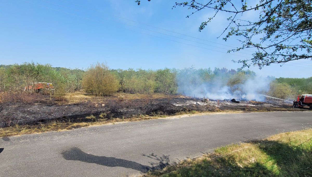 Le feu s'est déclaré au bord de la route.