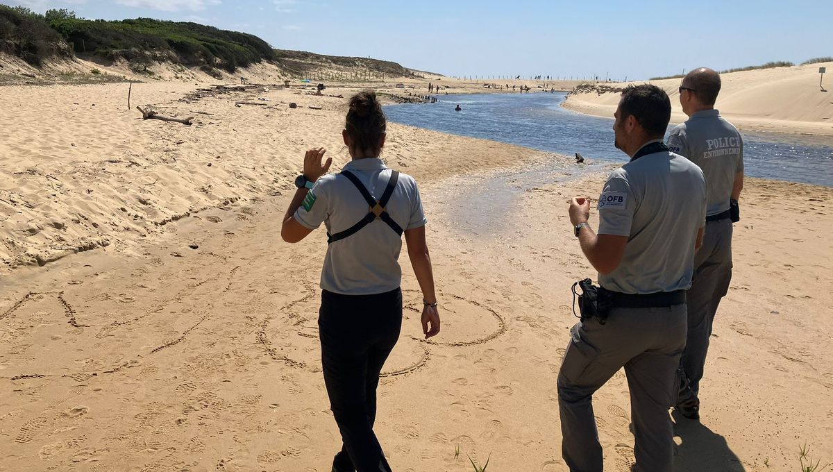 Les agents de l'OFB patrouillent au niveau de l'embouchure du Courant d'Huchet.