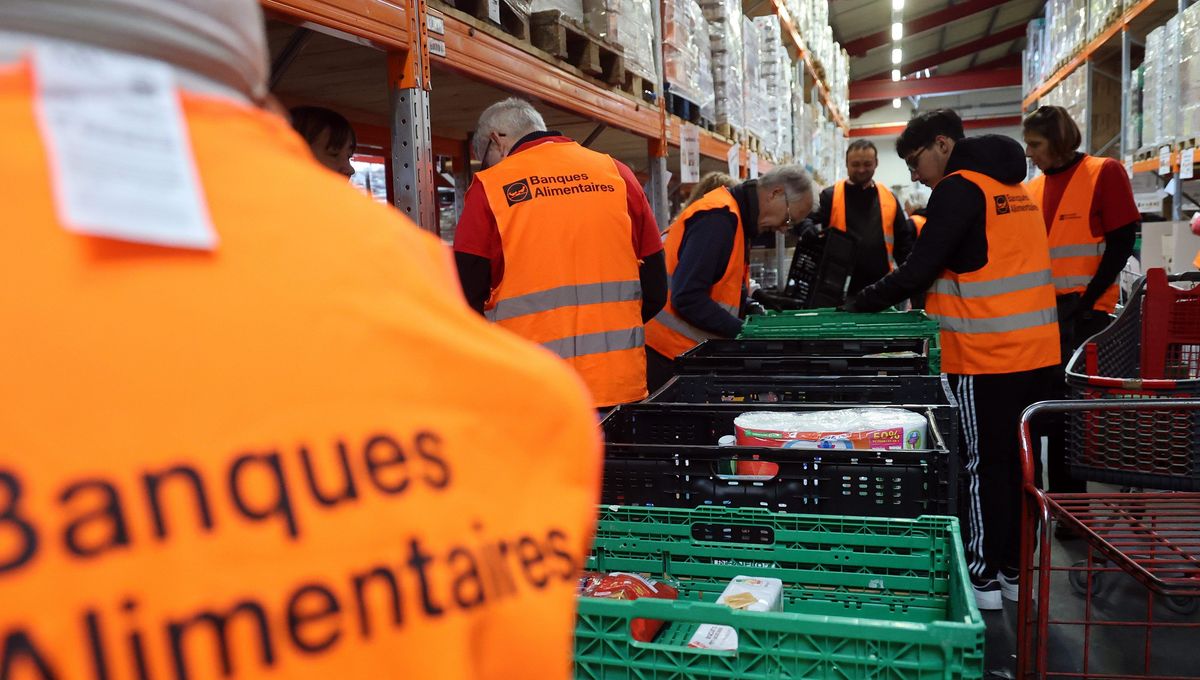 La Banque alimentaire compte actuellement 80 bénévoles dans les Landes. Photo d'illustration.