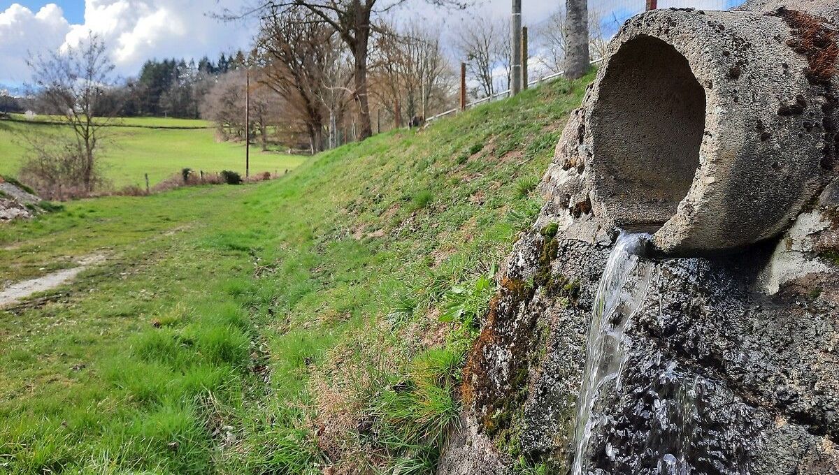 Les PFAS, ces polluants dits éternels, sont présents notamment dans l'eau.