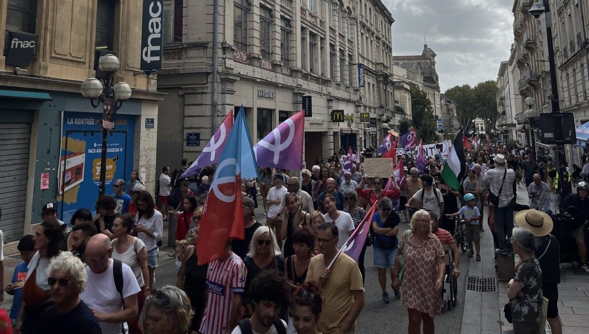 Un millier de personnes ont défilé dans les rues d'Avignon