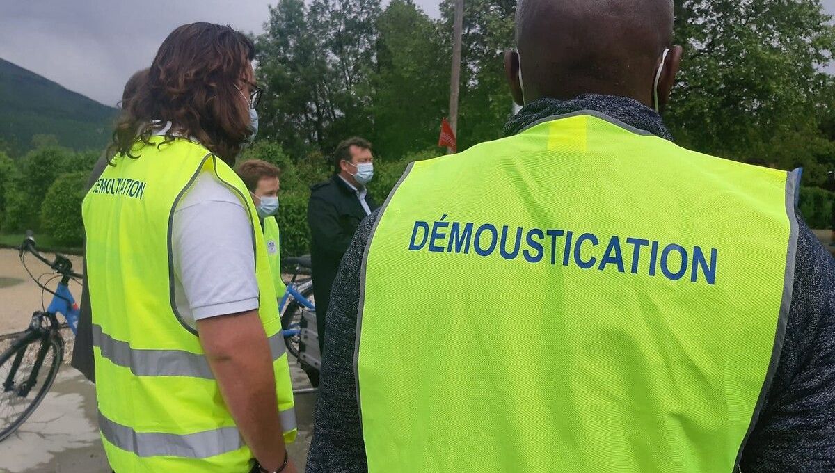 Une opération démoustication aura lieu dans la nuit du 6 au 7 septembre à Strasbourg