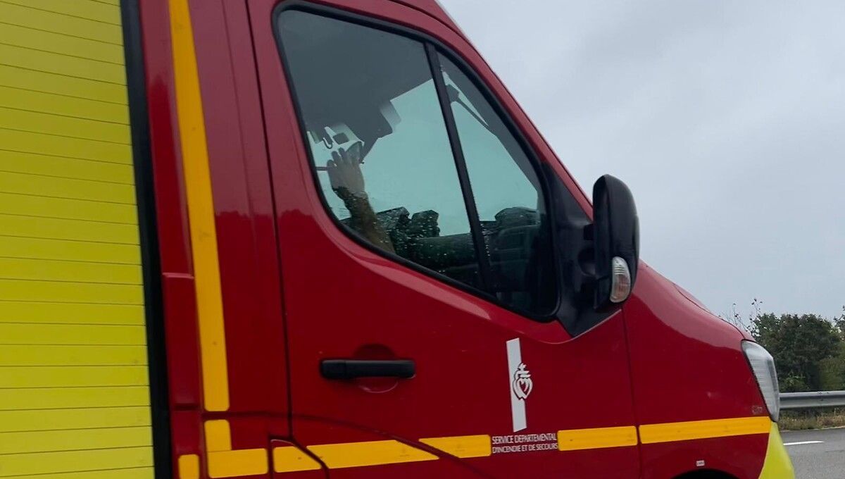 Un homme est mort écrasé par un arbre en Sarthe (photo d'illustration)