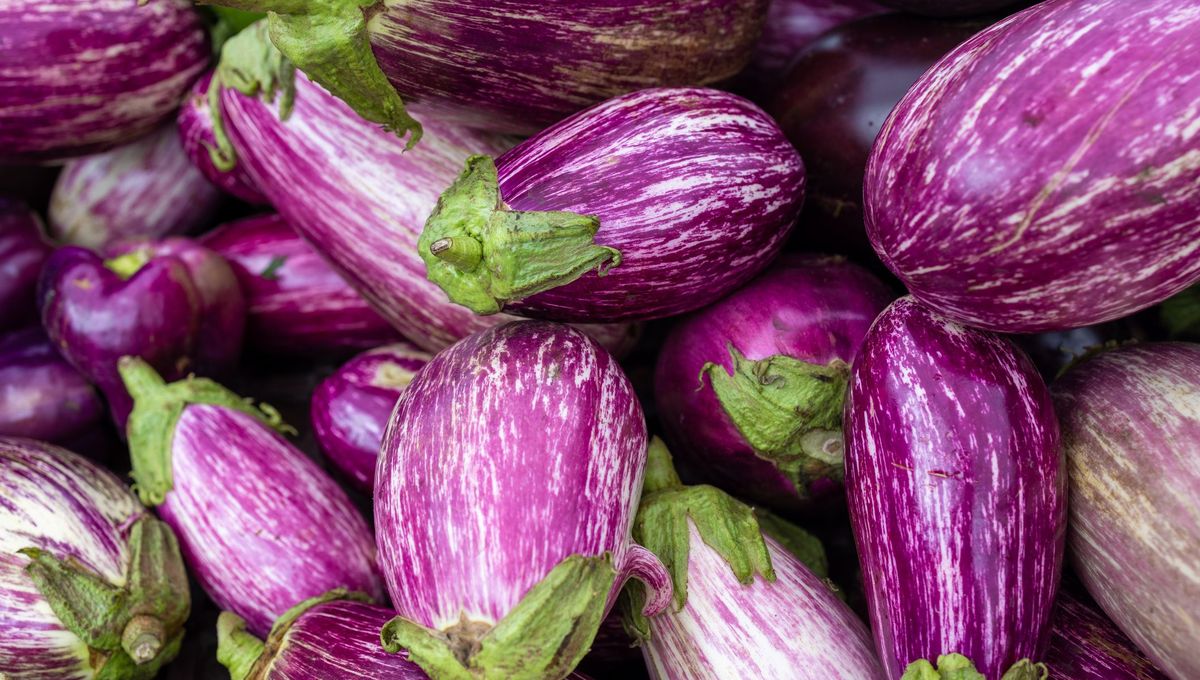 On lit dans le Coran que l'aubergine était très appréciée par Mahomet.