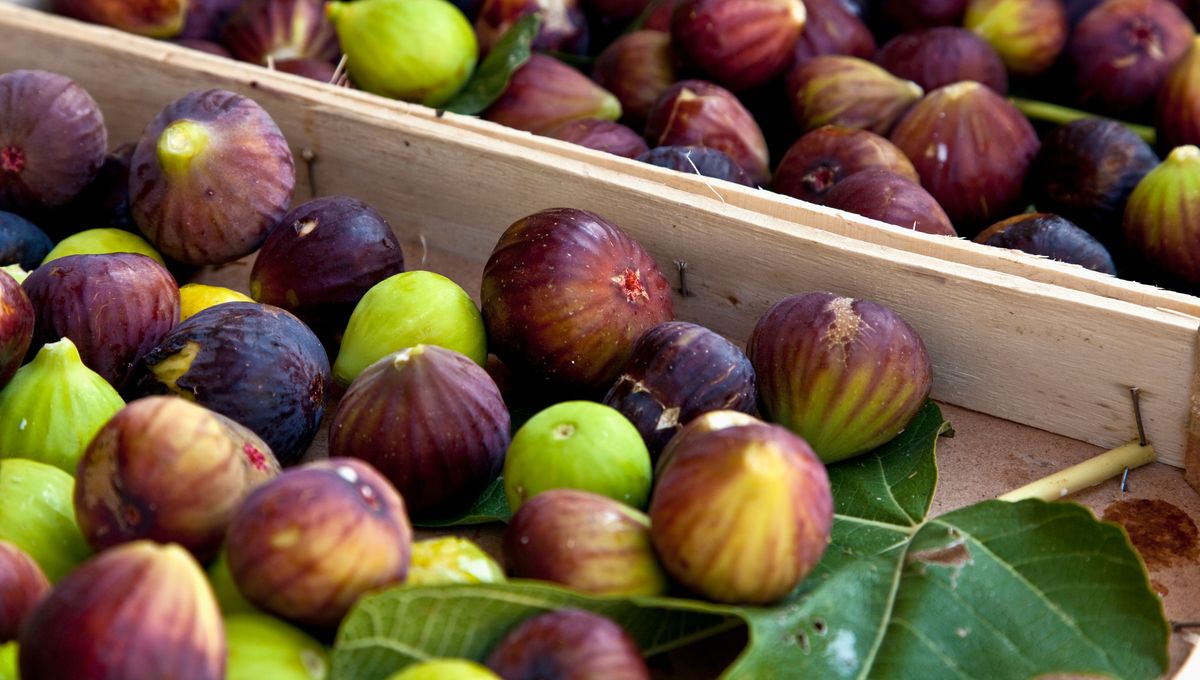 Septembre c'est le moment des figues