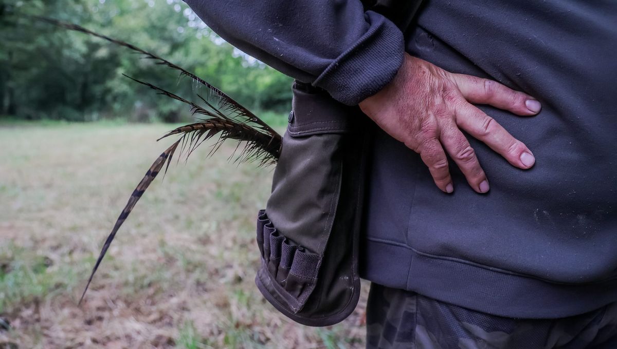 La préfecture veut rassurer les chasseurs du Pas-de-Calais.