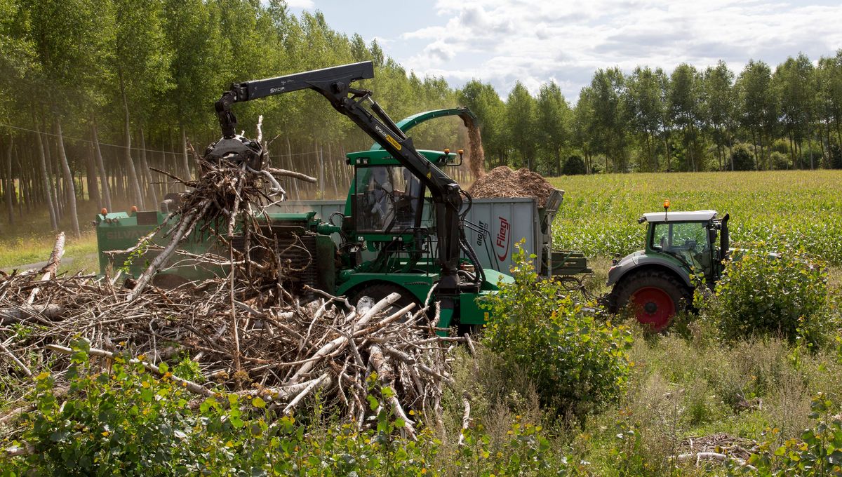 Avec ce projet de chaufferie, l'idée, à Saint-Pardoux-la-Croisille, est d'utiliser une ressource locale : du bois déchiqueté