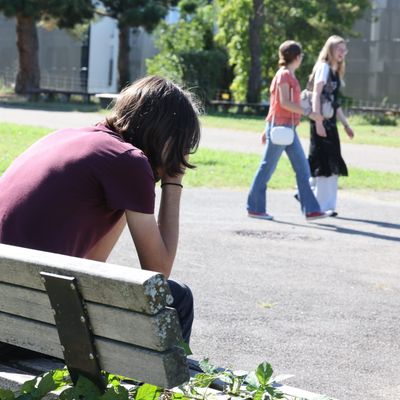 Une étude a montré que 33% des étudiants de l'Université de Lille sont en situation de précarité alimentaire