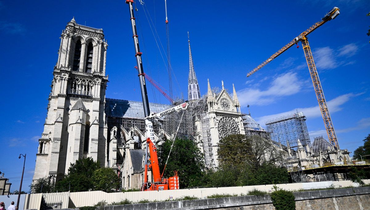 La cathédrale Notre-Dame et le chantier de reconstruction avec deux grues monumentales (illustration)